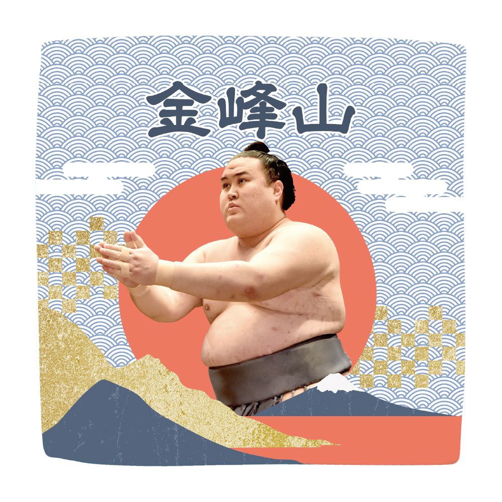 【応援グッズ】力士ハンカチ（青海波）