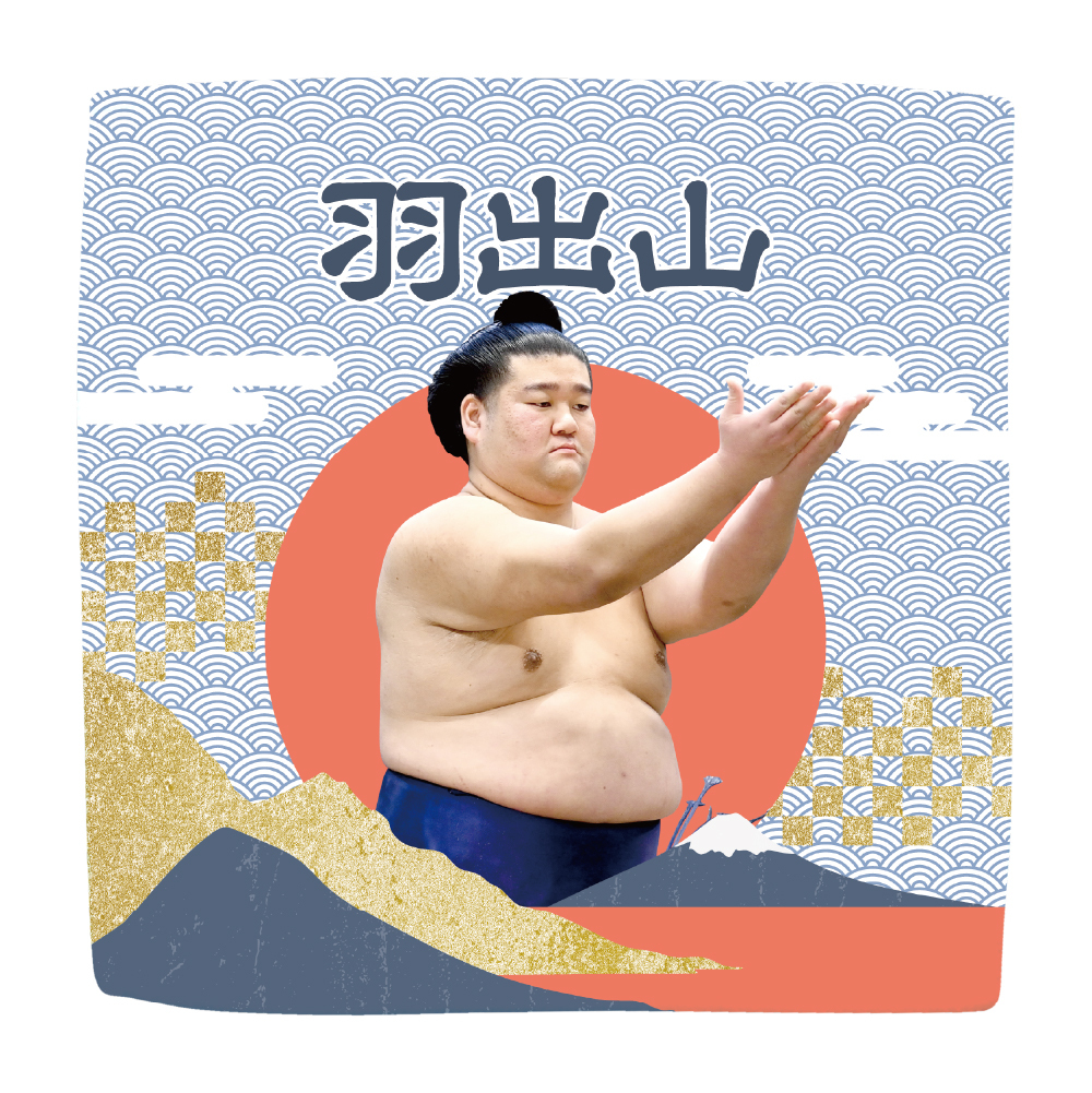 【応援グッズ】力士ハンカチ（青海波）