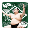【応援グッズ】力士ハンカチ（光）