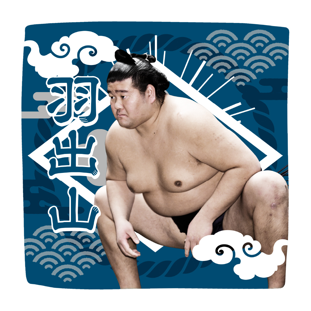 チ*マ様 大相撲　浴衣　反物　安青錦 安治川部屋　チューリップバッグ チ*マ様 大相撲 浴衣 反物 安青錦 安治川部屋 チューリップバッグ