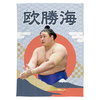 【応援グッズ】大ブランケット（青海波）