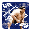 【応援グッズ】力士ハンカチ（光）