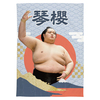 【応援グッズ】大ブランケット（青海波）