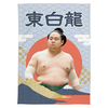 【応援グッズ】大ブランケット（青海波）