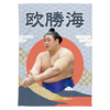 【応援グッズ】大ブランケット（青海波）