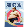 【応援グッズ】大ブランケット（青海波）