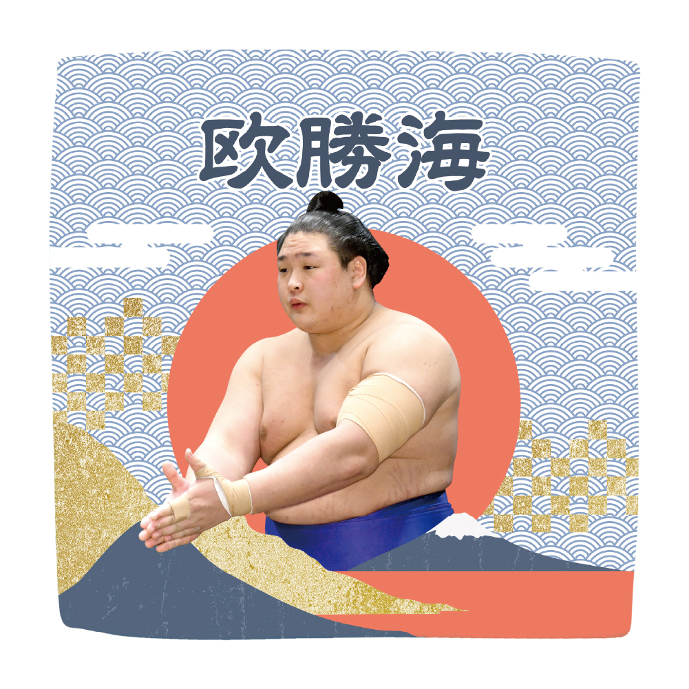 【応援グッズ】力士ハンカチ（青海波）