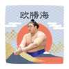 【応援グッズ】力士ハンカチ（青海波）