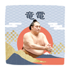 【応援グッズ】力士ハンカチ（青海波）