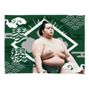 【応援グッズ】小ブランケット（光）