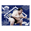【応援グッズ】小ブランケット（光）