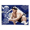 【応援グッズ】小ブランケット（光）