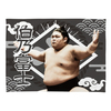 【応援グッズ】小ブランケット（光）