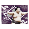 【応援グッズ】小ブランケット（光）