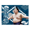 【応援グッズ】小ブランケット（光）