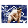 【応援グッズ】小ブランケット（光）