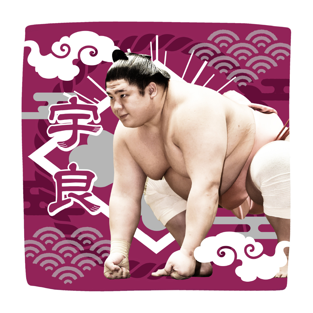 応援グッズ】力士ハンカチ（光） | 日本相撲協会 | 大相撲公式ファンクラブ