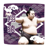 【応援グッズ】力士ハンカチ（光）