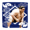 【応援グッズ】力士ハンカチ（光）
