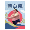 【応援グッズ】大ブランケット（青海波）
