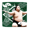 【応援グッズ】力士ハンカチ（光）