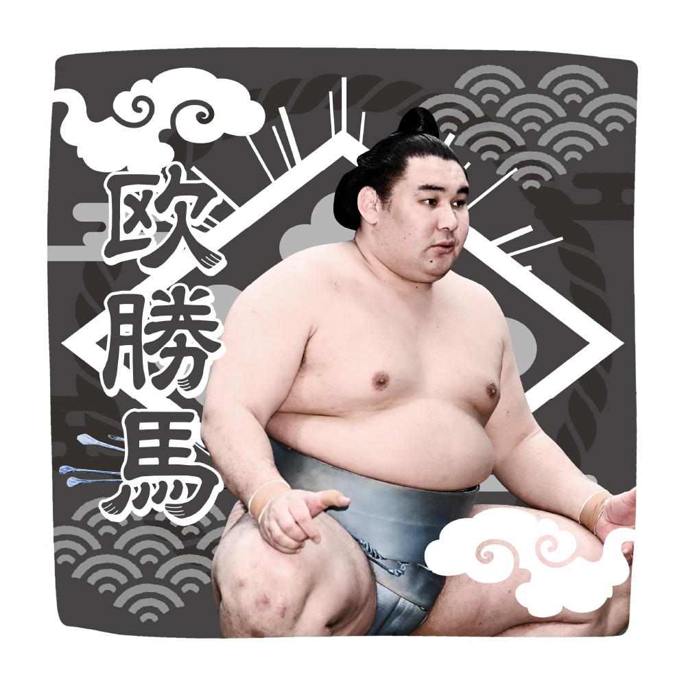 【応援グッズ】力士ハンカチ（光）