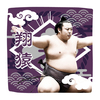 【応援グッズ】力士ハンカチ（光）