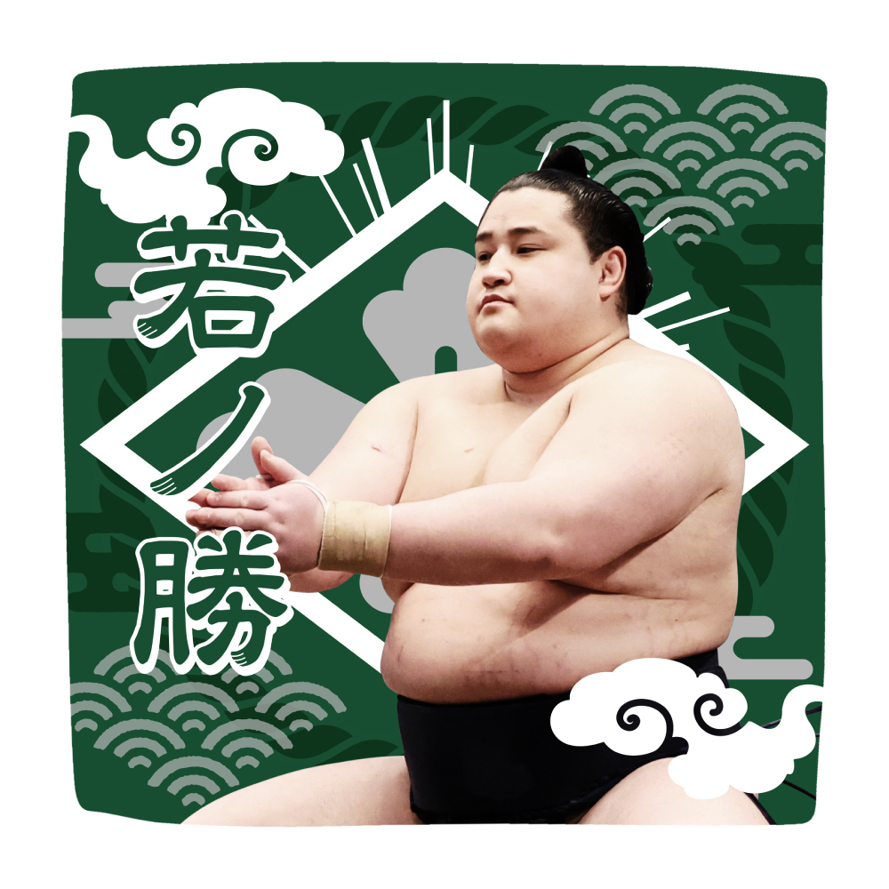 応援グッズ】力士ハンカチ（光） | 日本相撲協会 | 大相撲公式ファンクラブ
