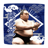 【応援グッズ】力士ハンカチ（光）