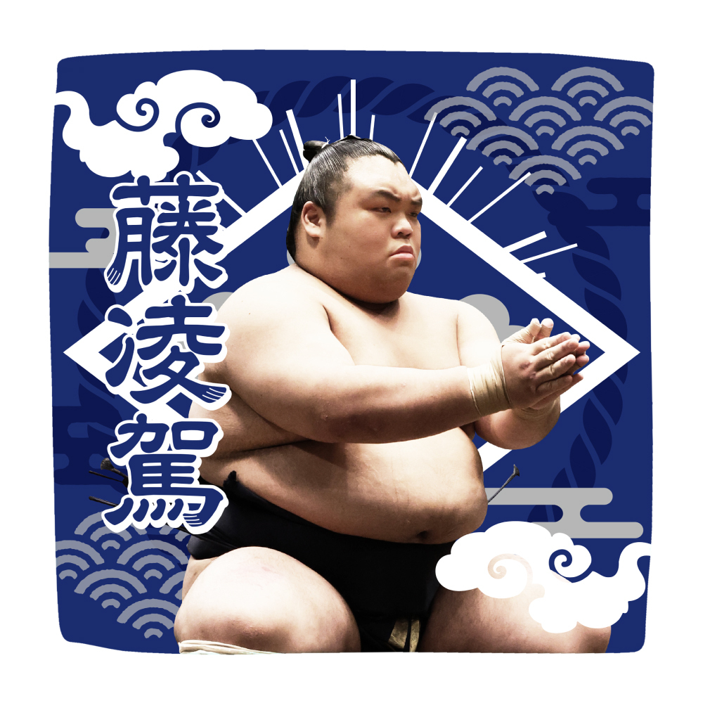 相撲 応援グッズ】力士ハンカチ（光） | 日本相撲協会 | 大相撲公式ファンクラブ