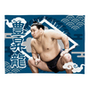 【応援グッズ】小ブランケット（光）