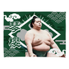 【応援グッズ】小ブランケット（光）