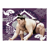 【応援グッズ】小ブランケット（光）