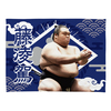 【応援グッズ】小ブランケット（光）