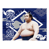 【応援グッズ】小ブランケット（光）