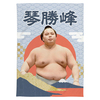 【応援グッズ】大ブランケット（青海波）