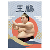 【応援グッズ】大ブランケット（青海波）