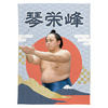 【応援グッズ】大ブランケット（青海波）