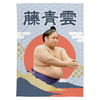 【応援グッズ】大ブランケット（青海波）