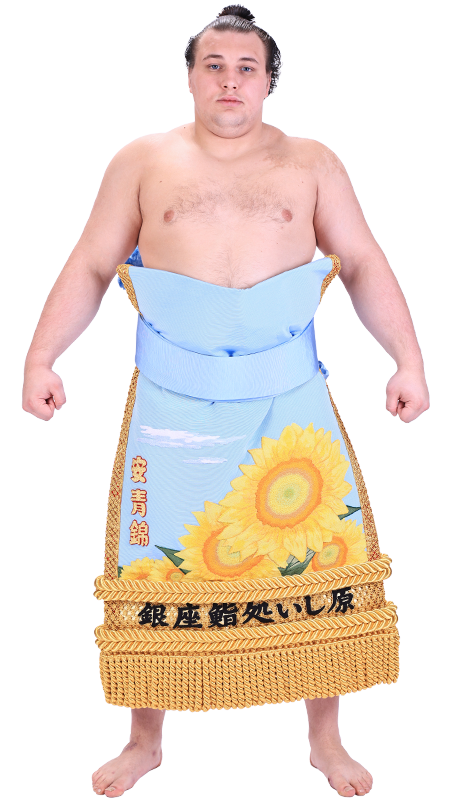  安青錦