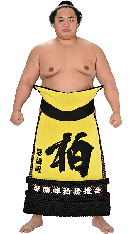 琴勝峰